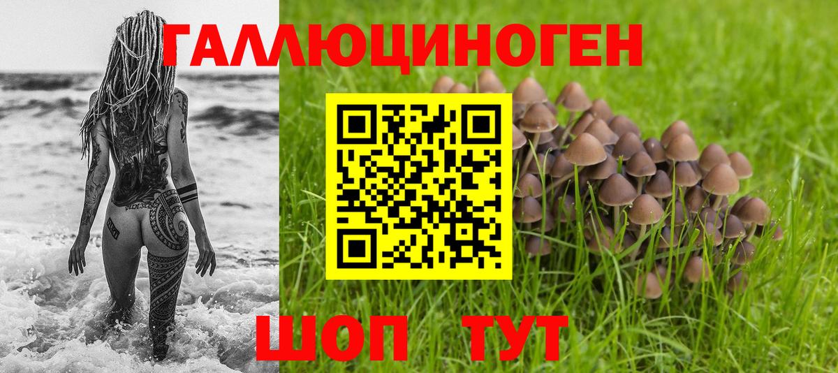 Ухта  Галлюциногенные грибы мухоморы  Вход с VPN 