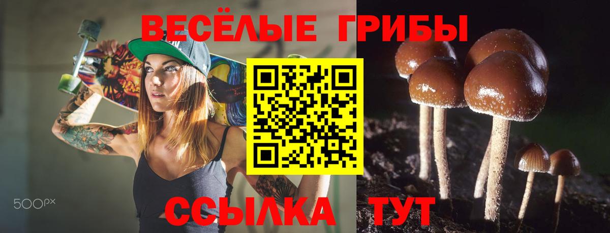 Псилоцибиновые грибы MAGIC MUSHROOMS Ухта